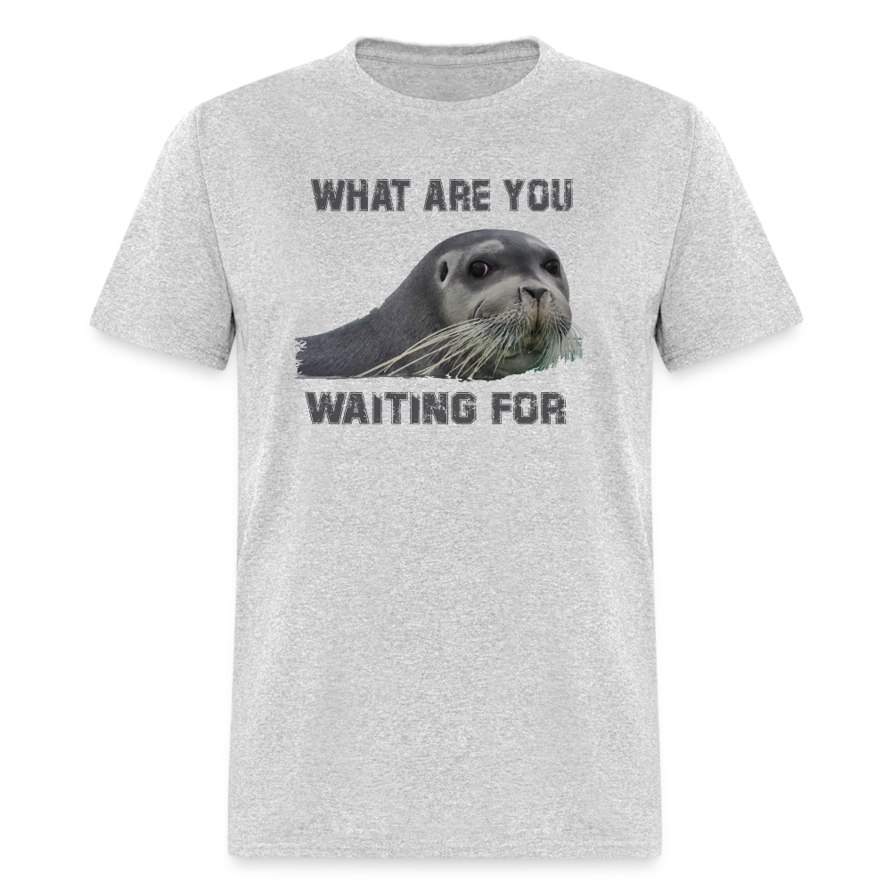 What Are You Waiting T-Shirt - heather gray