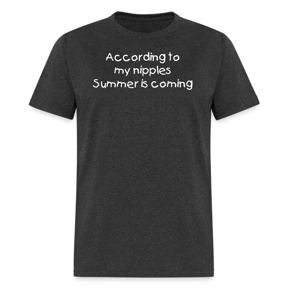 Summer is Coming T-Shirt - heather black