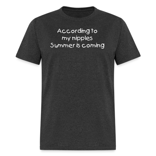 Summer is Coming T-Shirt - heather black